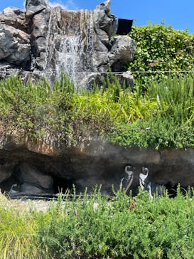 サンシャイン水族館に投稿された画像（2022/7/31）
