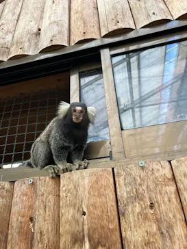 神戸どうぶつ王国に投稿された画像（2022/7/31）