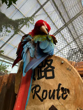 神戸どうぶつ王国に投稿された画像（2022/7/31）