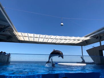上越市立水族博物館 うみがたりに投稿された画像（2022/7/31）