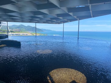 上越市立水族博物館 うみがたりに投稿された画像（2022/7/31）