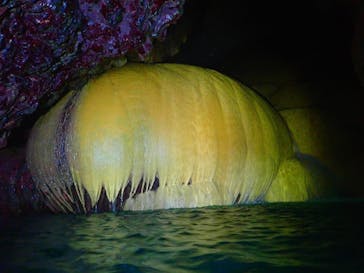 宮古島 ADVENTURE PiPi（ミヤコジマ アドベンチャー ピピ）に投稿された画像（2022/7/31）