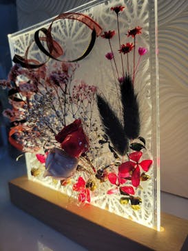 ずこうしつ〜sugamo〜に投稿された画像（2022/7/31）