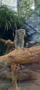 神戸どうぶつ王国に投稿された画像（2022/7/31）