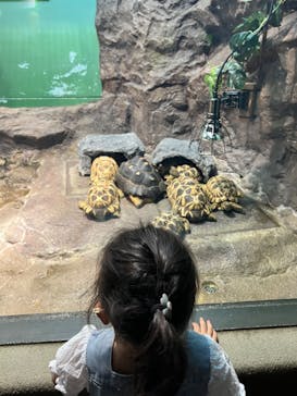 サンシャイン水族館に投稿された画像（2022/7/31）