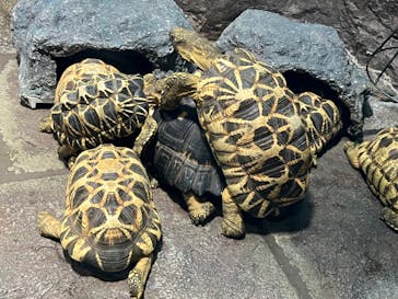 サンシャイン水族館に投稿された画像（2022/7/31）