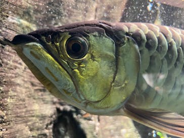 サンシャイン水族館に投稿された画像（2022/7/31）
