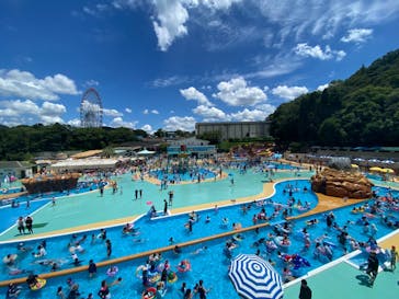 日本モンキーパークに投稿された画像（2022/7/31）