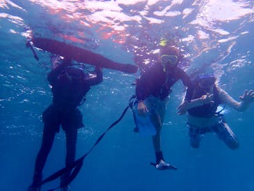 石垣島 ADVENTURE PiPi（イシガキジマアドベンチャーピピ）に投稿された画像（2022/7/31）