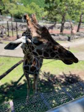 伊豆アニマルキングダムに投稿された画像（2022/7/31）