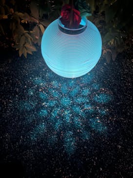 NAKED夏まつり2022 世界遺産・二条城に投稿された画像（2022/7/31）