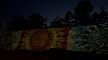 NAKED夏まつり2022 世界遺産・二条城に投稿された画像（2022/7/31）