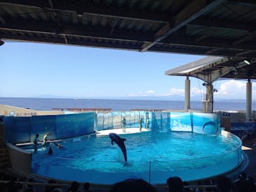新江ノ島水族館に投稿された画像（2022/7/31）
