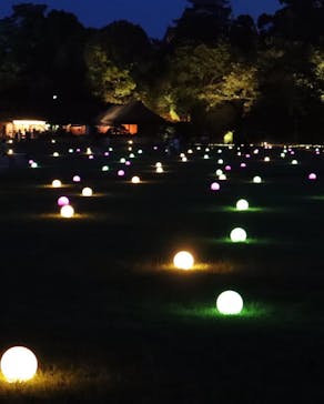 岡山後楽園に投稿された画像（2022/7/31）