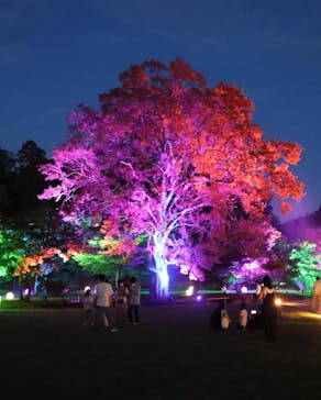 岡山後楽園に投稿された画像（2022/7/31）