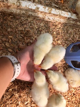 アニタッチみなとみらいに投稿された画像（2022/7/31）