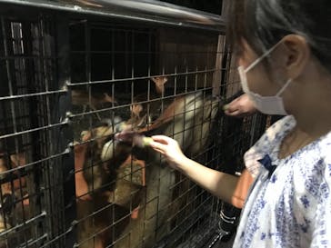 那須サファリパークに投稿された画像（2022/7/31）