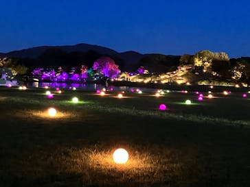 岡山後楽園に投稿された画像（2022/7/31）