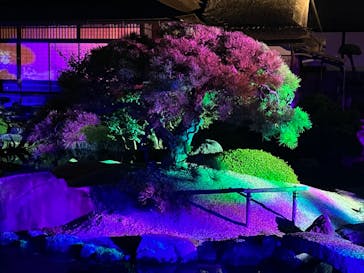 岡山後楽園に投稿された画像（2022/7/31）