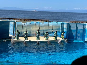 新江ノ島水族館に投稿された画像（2022/7/31）