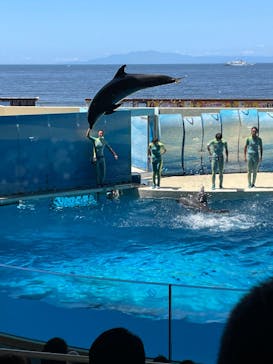 新江ノ島水族館に投稿された画像（2022/7/31）