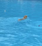 わんダフルネイチャーヴィレッジに投稿された画像（2022/7/31）