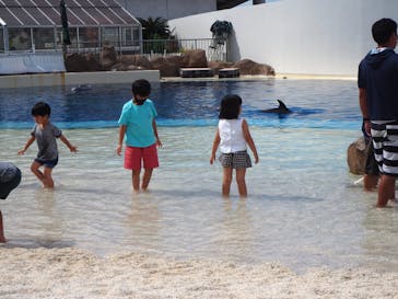 大分マリーンパレス水族館 「うみたまご」に投稿された画像（2022/7/31）