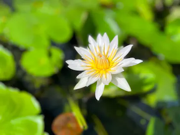 神戸どうぶつ王国に投稿された画像（2022/7/31）