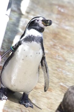 南知多ビーチランド＆南知多おもちゃ王国に投稿された画像（2022/7/31）