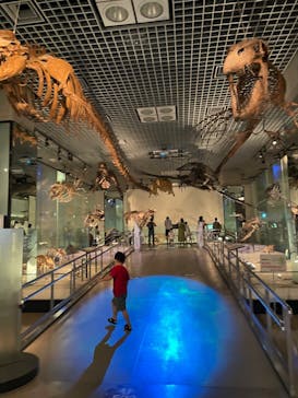 国立科学博物館に投稿された画像（2022/7/31）