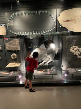 国立科学博物館に投稿された画像（2022/7/31）