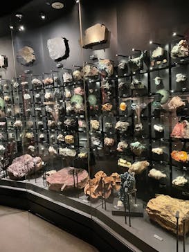 国立科学博物館に投稿された画像（2022/7/31）