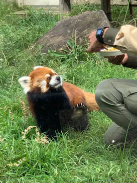 天王寺動物園に投稿された画像（2022/7/31）