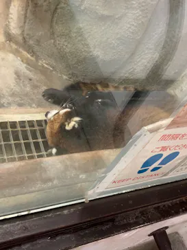 天王寺動物園に投稿された画像（2022/7/31）