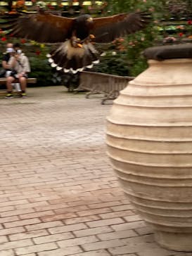 富士花鳥園に投稿された画像（2022/7/31）