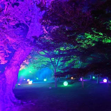 岡山後楽園に投稿された画像（2022/7/31）