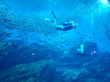 仙台うみの杜水族館に投稿された画像（2022/8/1）