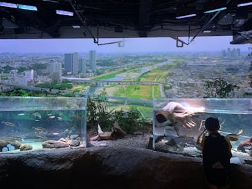 カワスイ 川崎⽔族館に投稿された画像（2022/8/1）