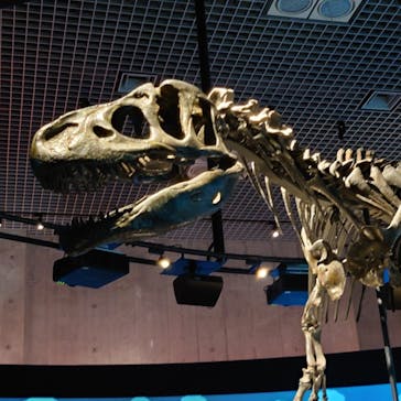 国立科学博物館に投稿された画像（2022/8/1）