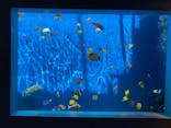環境水族館アクアマリンふくしまに投稿された画像（2022/8/1）