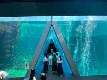 環境水族館アクアマリンふくしまに投稿された画像（2022/8/1）