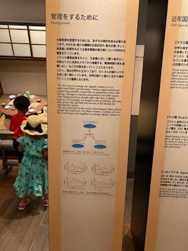 環境水族館アクアマリンふくしまに投稿された画像（2022/8/1）