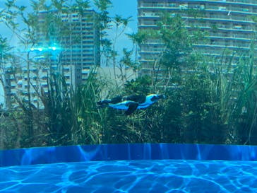 サンシャイン水族館に投稿された画像（2022/8/1）