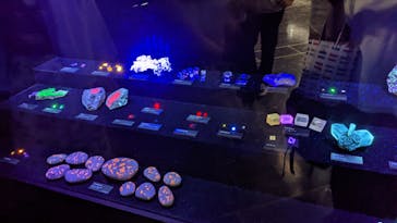 特別展「宝石　地球がうみだすキセキ」（名古屋市科学館　理工館地下２階イベントホール）に投稿された画像（2022/8/1）