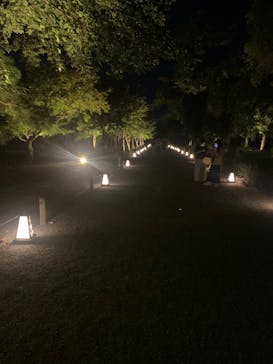 NAKED夏まつり2022 世界遺産・二条城に投稿された画像（2022/8/1）