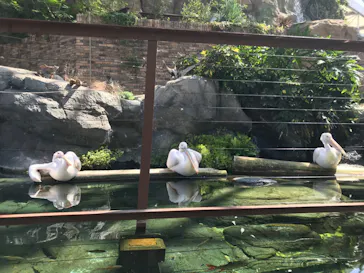 横浜・八景島シーパラダイスに投稿された画像（2022/8/1）