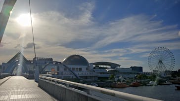名古屋港水族館に投稿された画像（2022/8/1）