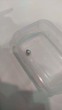 名古屋港水族館に投稿された画像（2022/8/1）