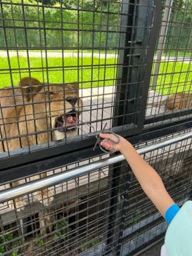 那須サファリパークに投稿された画像（2022/8/1）