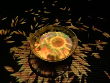 森ビル デジタルアート ミュージアム：エプソン チームラボボーダレスに投稿された画像（2022/8/1）